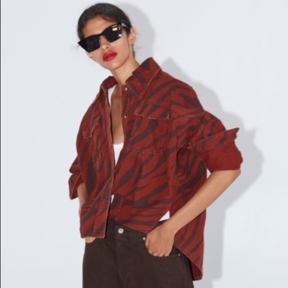 ZARA Animal Print Flocked Jacket-Brown/White